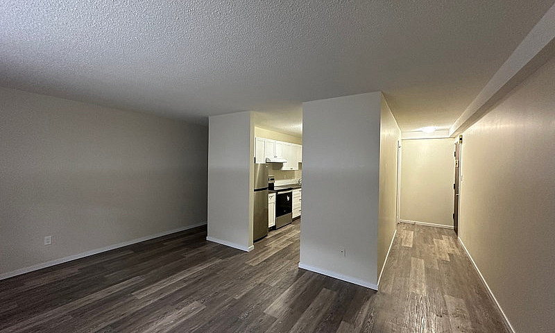 1 Bedroom 1 Bath Apa...