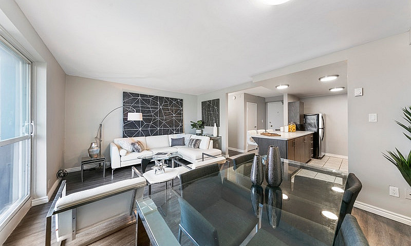 1 Bedroom Apartment ...