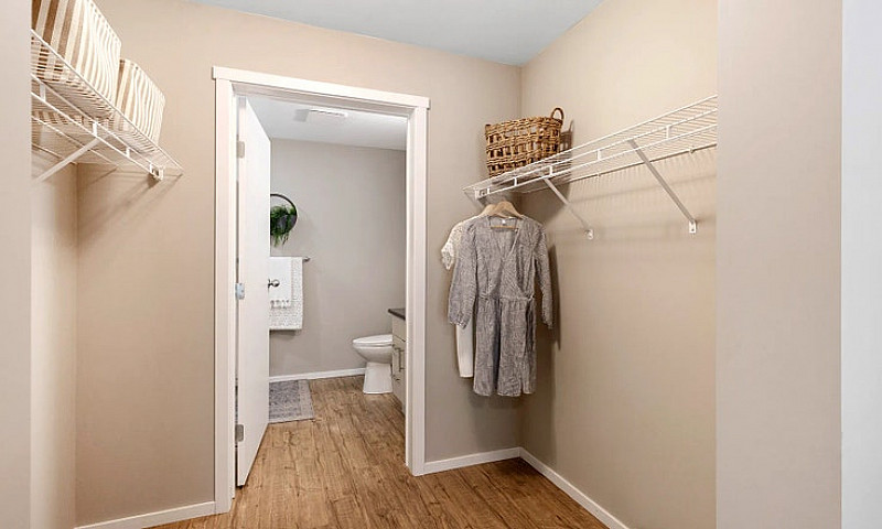 Pet-Friendly One Bed...