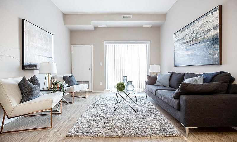 Pet-Friendly Three B...