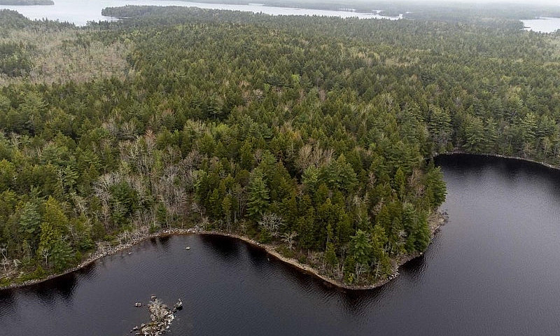 Black Rattle Lake – ...