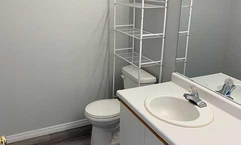 10 Cochrane Road, Wh...