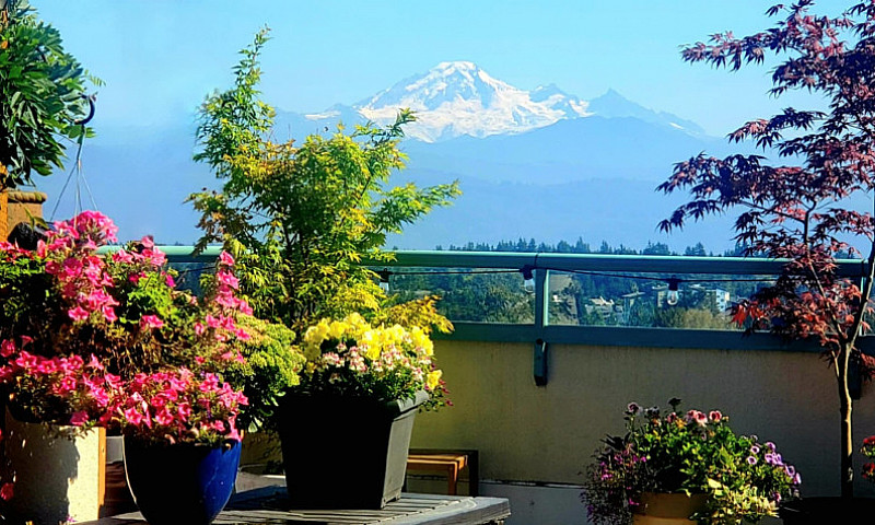 Stunning Abbotsford ...
