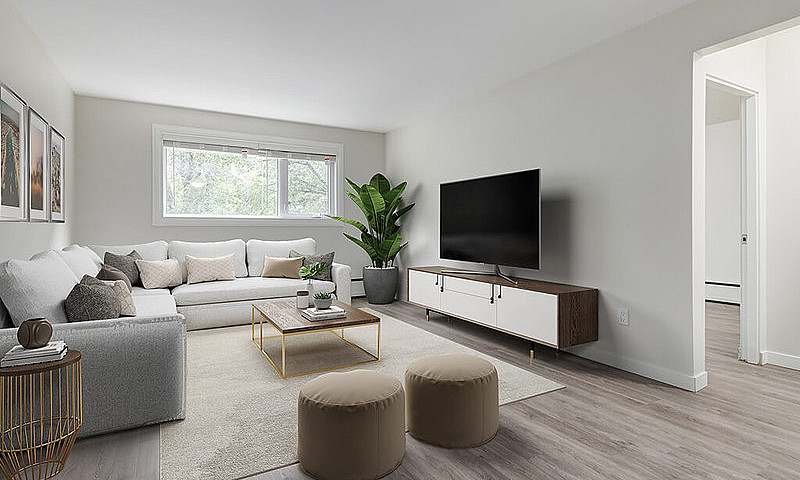 Modern Apartments Wi...
