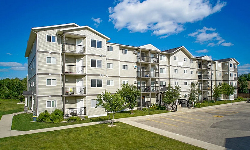 Pet-Friendly One Bed...
