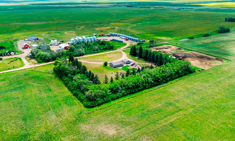 Immaculate Acreage I...