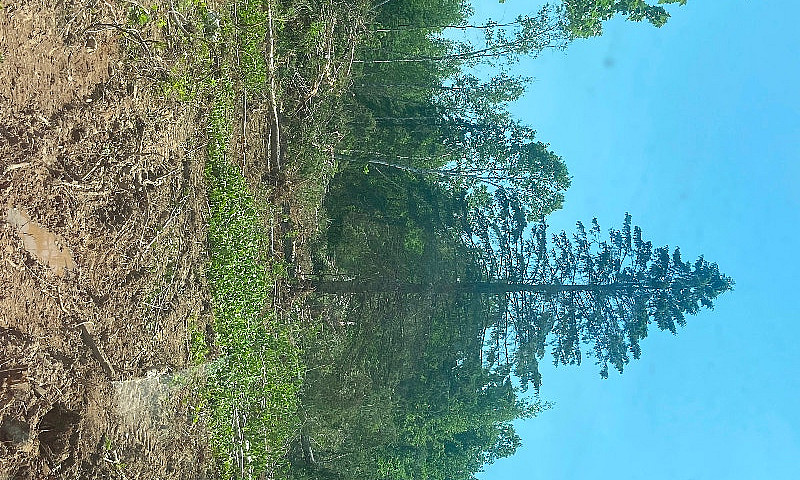 Land For Sale...