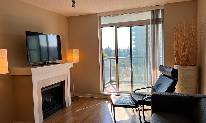 Fully Furnished 1 Be...