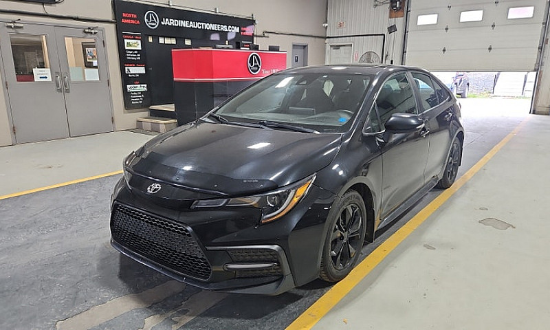 2020 Toyota Corolla...
