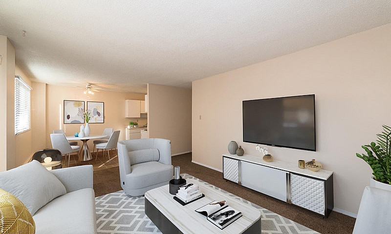 1 Bedroom - 5207 39 ...
