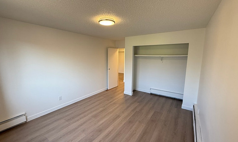 Modern 1 Bed 1 Bath ...