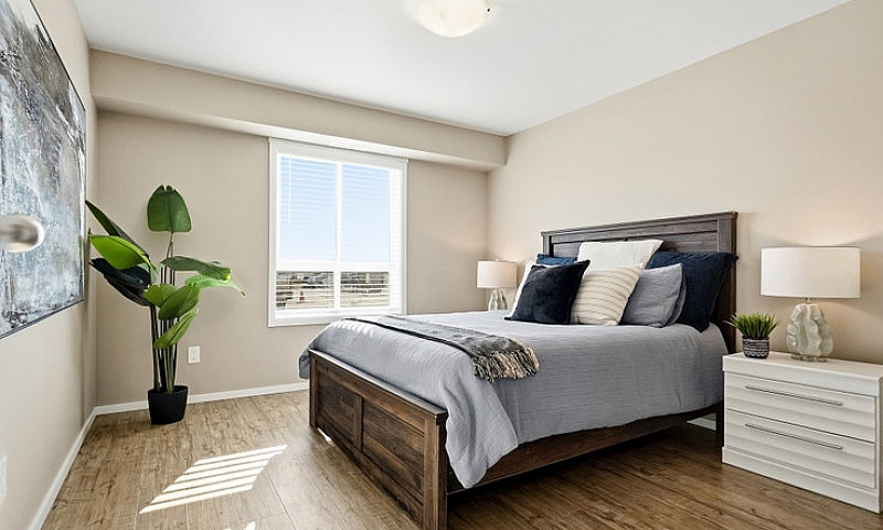 Pet-Friendly Three B...