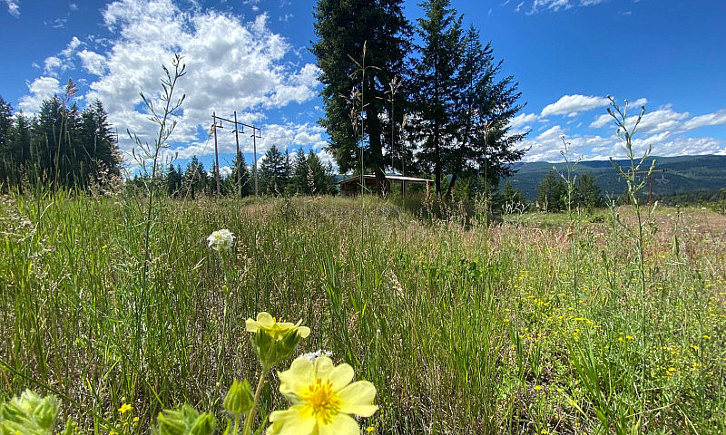 21+ Acres With Views...