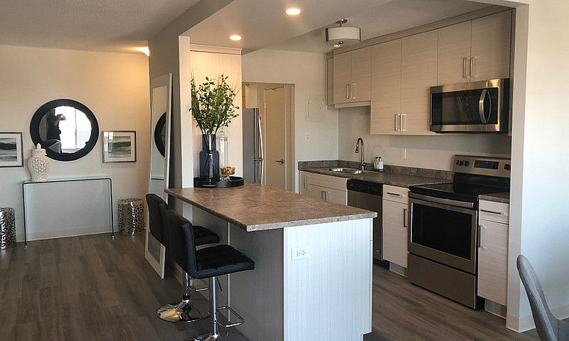One Bedroom Suite (#...