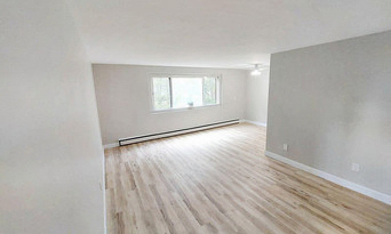 1 Bedroom Apartment ...