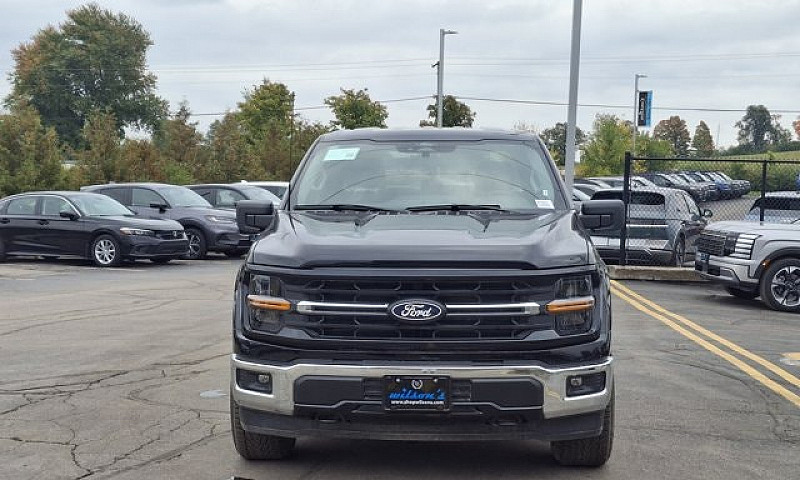 2025 Ford F-150 Xlt ...