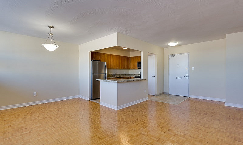 1 Bedroom Apartment ...