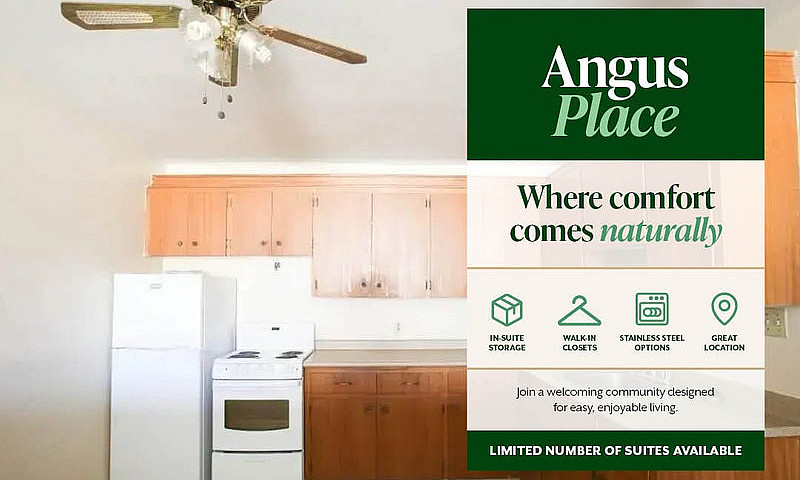 Apartments For Rent ...