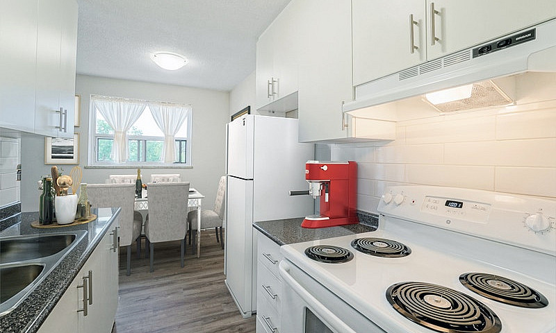 1 Bedroom Apartment ...