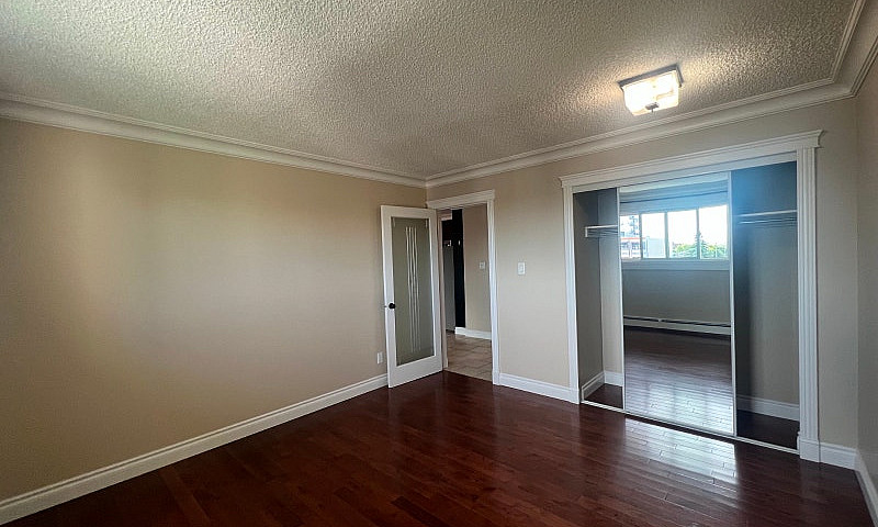 1 Bed 1 Bath Availab...