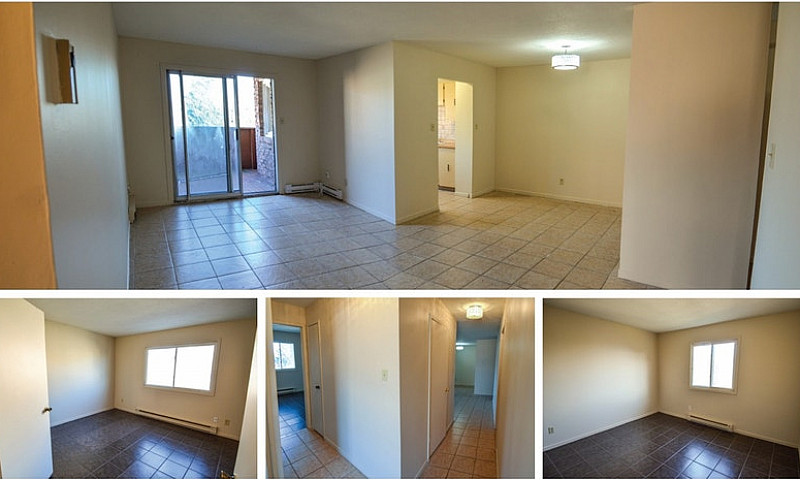 $2200–Newly Renovate...