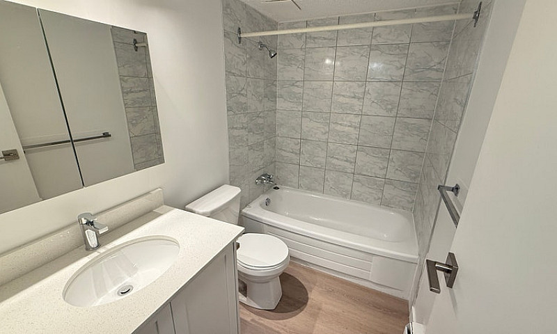 Modern 1 Bed 1 Bath ...