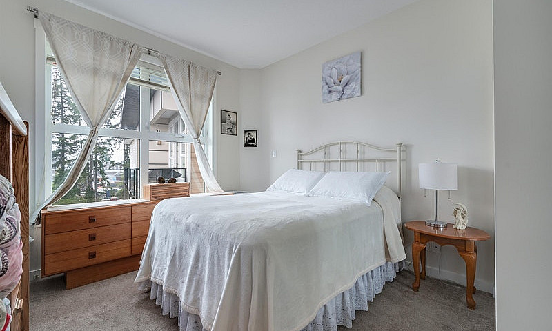 1 Bedroom + Den Apar...