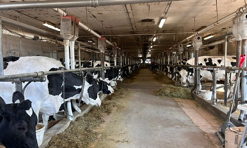 Dairy Farm For Sale...