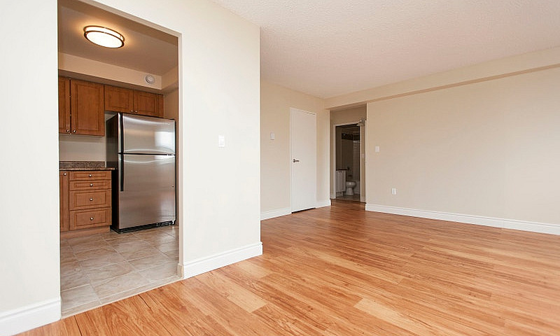 1 Bedroom Apartment ...