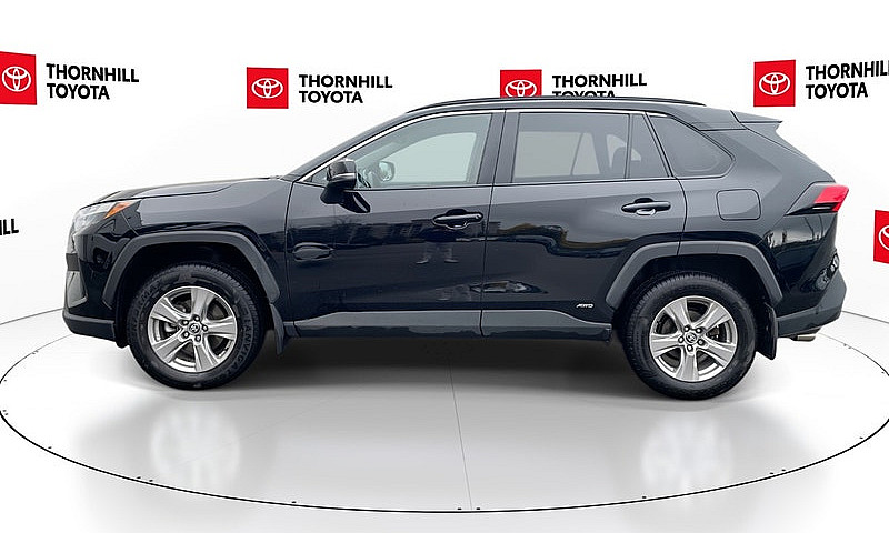 2025 Toyota Rav4 Hyb...