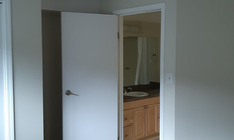 Basment Suite...
