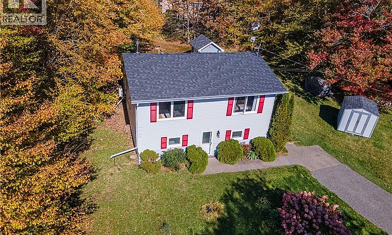 10 Birch Lane Willow...
