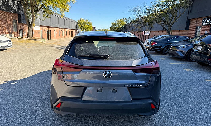 2025 Lexus Ux Ux 300...