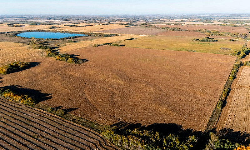 Farmland For Sale | ...
