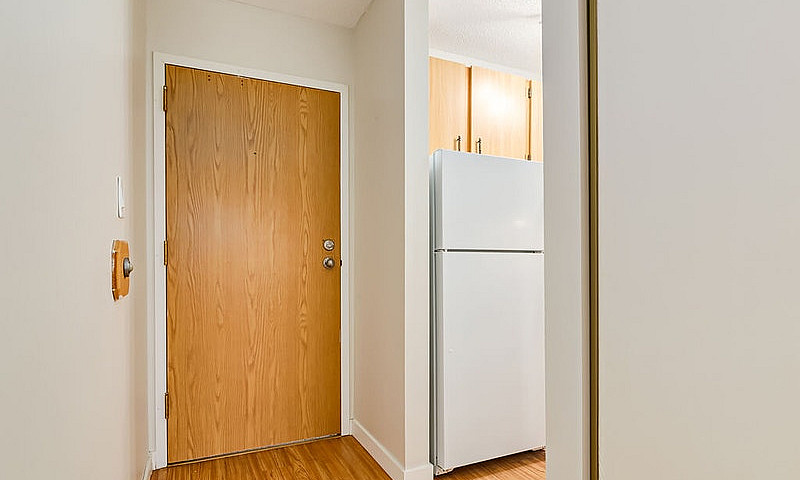 Modern Apartments Wi...