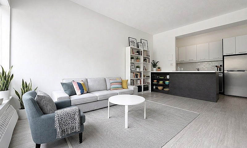 1 Bedroom Apartment ...