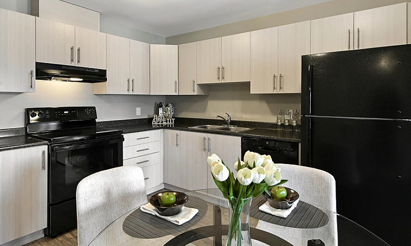 Pet-Friendly Two Bed...