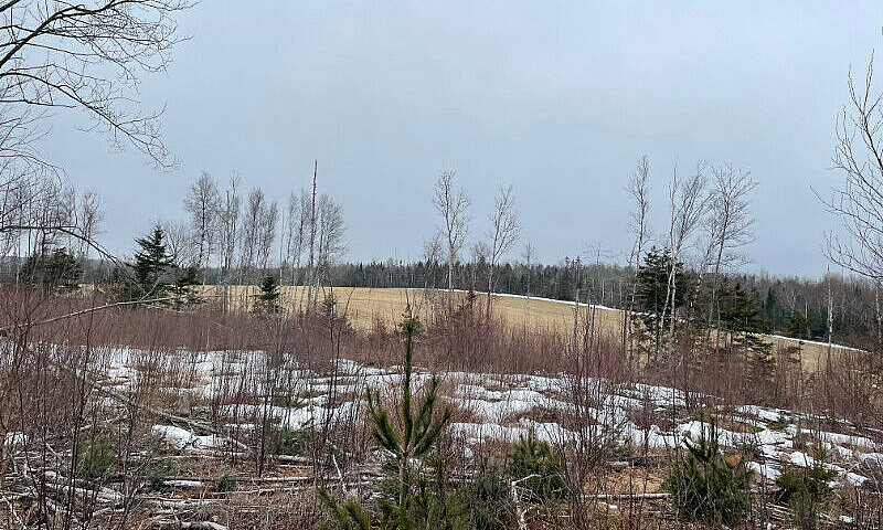 Discovery Lane (Lot ...