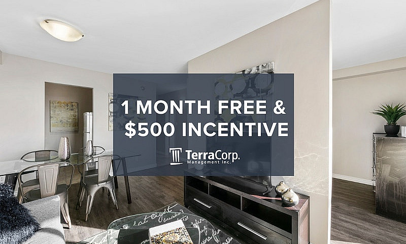 1 Bedroom Apartment ...
