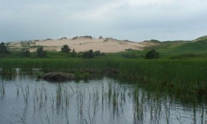 Waterfront Lot On Sa...