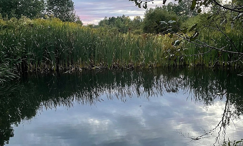 $599,000 - Arable La...