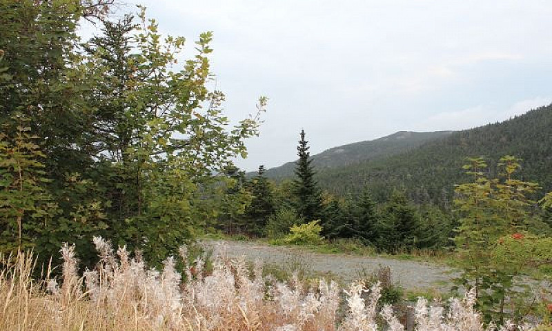 Lot 2 -Beachy Cove B...