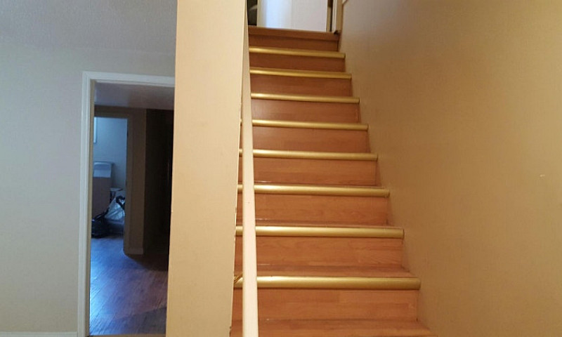 2 Room Basement Apar...