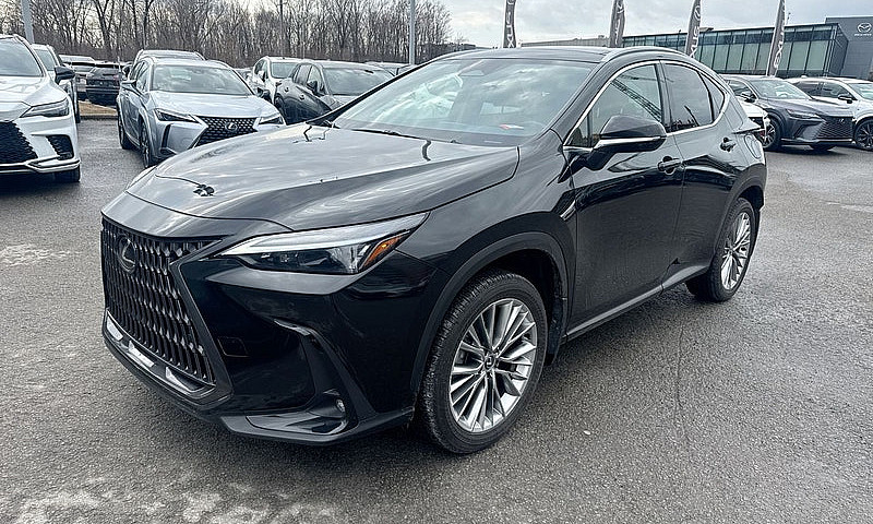 2026 Lexus Nx 350 / ...