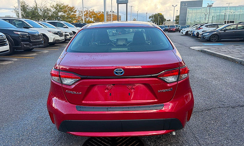 2020 Toyota Corolla ...