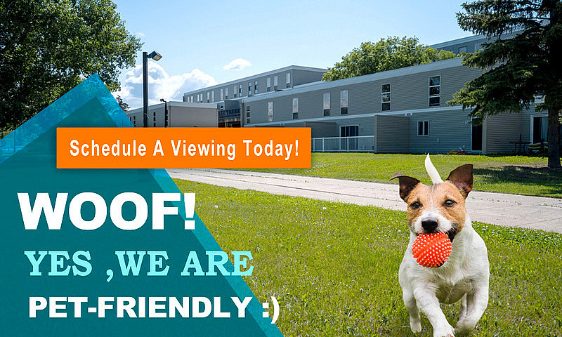 1Bed: Best Rental Ra...