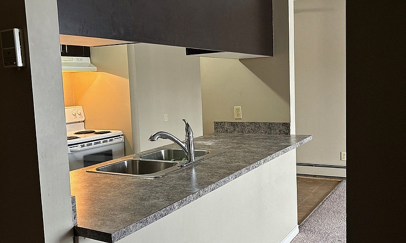 1 Bedroom Apartment ...