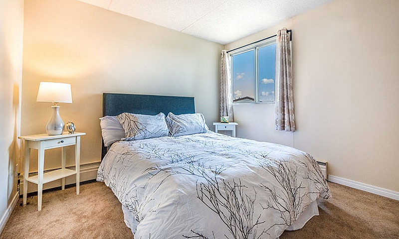 2 Bed 1 Bath For Ren...
