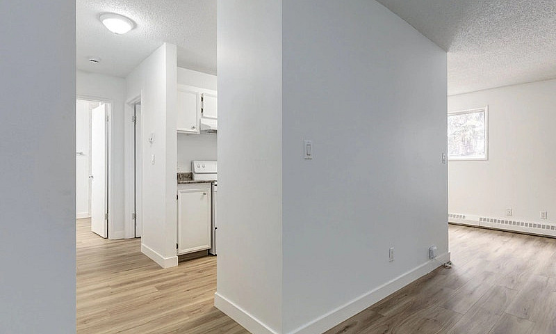 Spacious Apartments ...