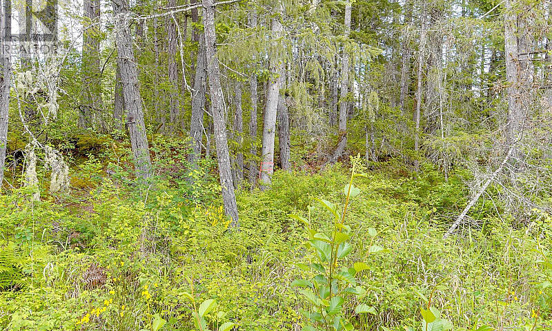 Lot 25 Thompson Rd P...